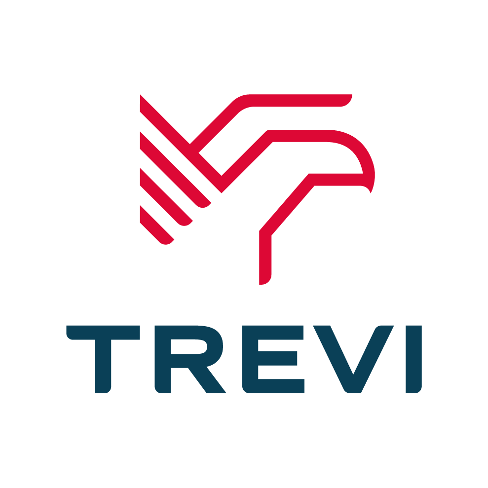 Trevi Bruxelles Sud